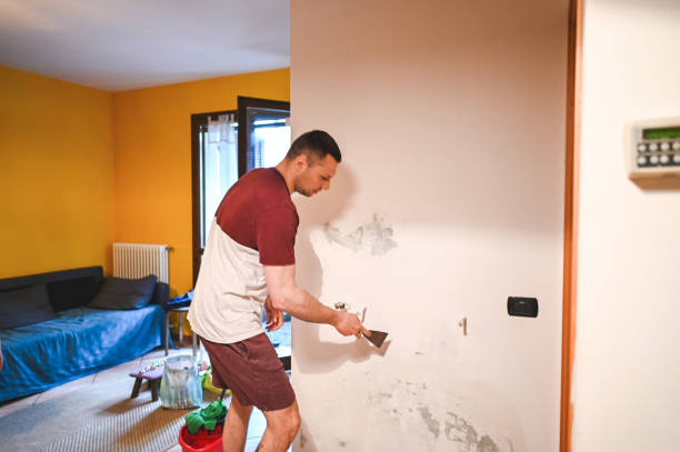 Best Emergency Mold Removal  in Shongopovi, AZ